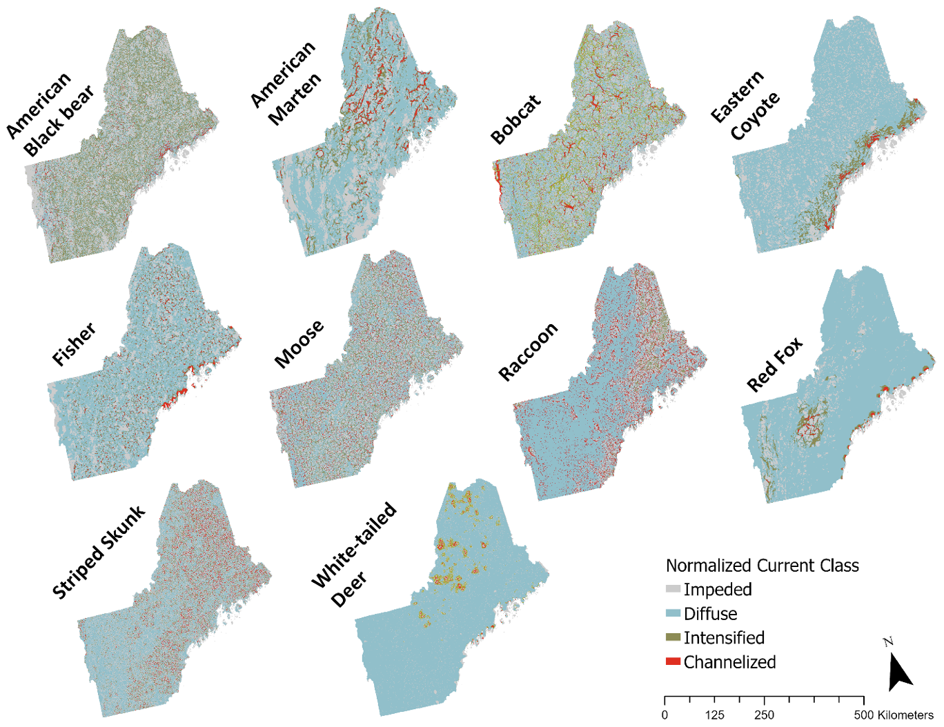 Main page image for Landscape connectivity rasters: normalized current flow